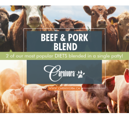 Blended Patties - Beef/Pork - Diet